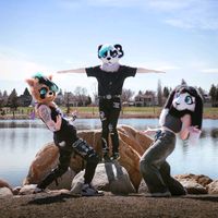 roxyrainpanda