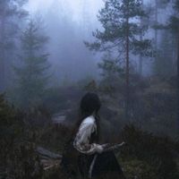 niveen.sharafanii