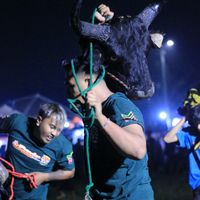 suara asli - Nawa Watu