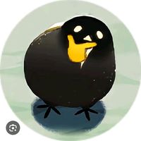 pavs_2