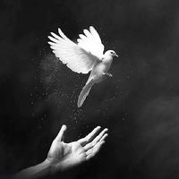 សំឡេងដើម - ♧︎រាស្រ្ត សាមញ្ញ៚