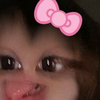 hlin_ok