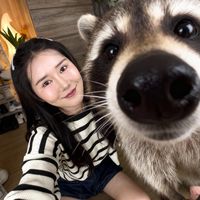 hamjunjira