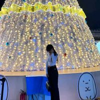 cyz_.0228