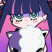 toffestocki_