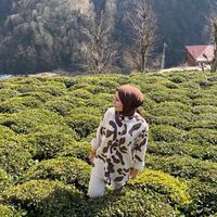 ruveyda.batur