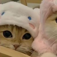 user04050718090112130430