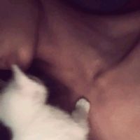 elmanzalawy_1