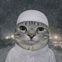 wisal_momnd