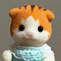 panaru.sunotan