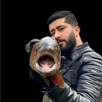 alidayibalik