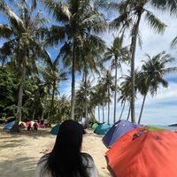 suara asli - MALAU STORY BATAK✨