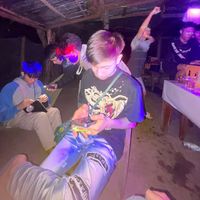 beeyar_44446