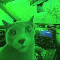 original sound - kazukingkong