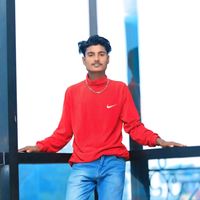 amlesh99