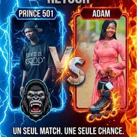 prince_501_
