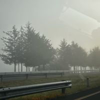 sawturnn_r