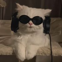 nhạc nền - Mê trai xinh gái đẹp 👌