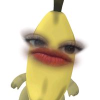 mayixaltenco