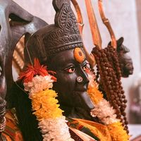 vedkalikovil