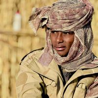 الصوت الأصلي