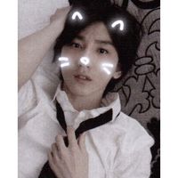honeykyomo