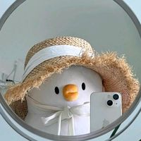 user2023wiwi