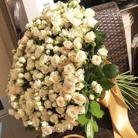rawan_alr7