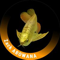 zack_arowana