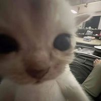 htumuadong_