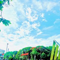 nhạc nền - ✅Beauty Life🕊