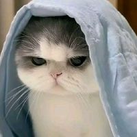 suara asli - maybellmint