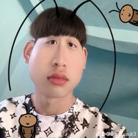 dj238095