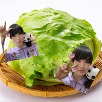 オリジナル楽曲 - アンク推しのあげは🅰️🦜