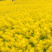 original sound - 🎵ဧရာဝတီသား🎵MUSIC WORD🎙