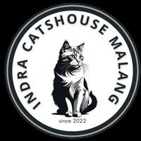 suara asli - INDRA CATS HOUSE