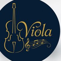 viola_v13