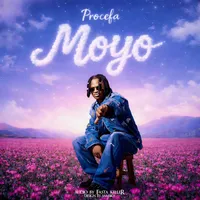 MOYO PROCEFA