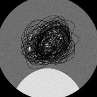 الصوت الأصلي