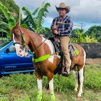 abdielvismartinez