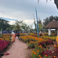 original sound - NUR ⋆ ̊✿˖°