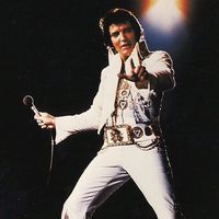 elvispresleybrasil