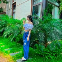 nhạc nền - thảo vi🐰