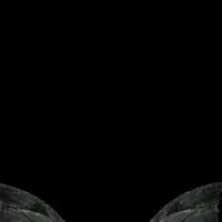 original sound - chikiz.araiza