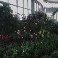 เสียงต้นฉบับ - ชอบเส้าเป็นจิตใจจ!!