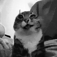 original sound - socia1hub