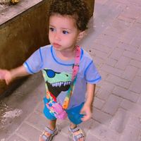 elaaflashari