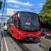 lujosos_buses_503