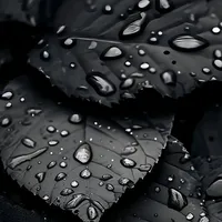 original sound - rizzbott4u