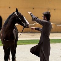 hammad_m07